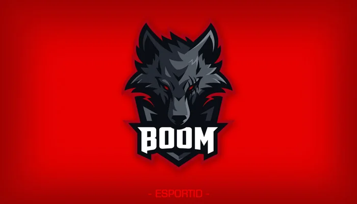 profil boom-esports